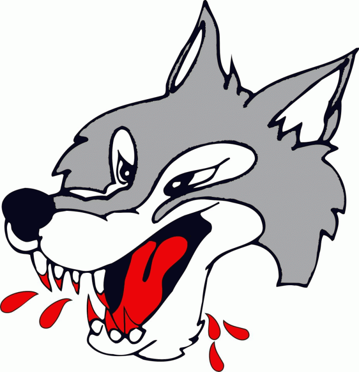 Sudbury Wolves iron ons